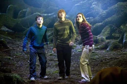 L-R: Daniel Radcliffe als Harry Potter, Rupert Grint als Ron Weasley, Emma Watson als Hermione Granger