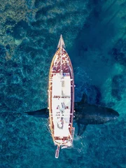 Hai unter dem Schiff