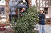 Anja Pötting (r.) und ihr Mann Marius stellen den Weihnachtsbaum auf. Im ostwestfälischen Scharmede zwischen Salzkotten und Paderborn leben die beiden mit ihren vier Kindern und einer großen Hofgemeinschaft.