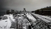 Long lines of snow covered train cars wait to be moved following a surprise snow storm. A lone walker follows the trail through Myrtle Edwards Park in Seattle. Long lines of snow covered train cars wait to be moved following a surprise snow storm. A lone walker follows the trail through Myrtle Edwards Park in Seattle.