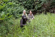 Jane Goodall (li.) und Rebeca Atencia (re.), Managerin des Jane Goodall Institute (JGI) im Kongo, beobachten Wounda bei ihrem ersten Freigang.