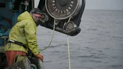 Summer Bay Deckhand Kenny Jensen keeps watch as they pull up a pot on the opie grounds.