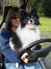 Cathy Schneider and Puffin.