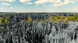 Die nadelspitzen Felsgesteine des Tsingy: Der Sage nach siedelten hier vor etwa 2.000 Jahren die ersten Menschen auf Madagaskar: die Vazimba.