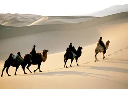 PHOENIX DIE MAGIE DER MONGOLEI, am Mittwoch (01.08.12) um 22:15 Uhr. Die W&uuml;ste Gobi - der Sand unter den Hufen der Kamele stammt aus l&auml;ngst versiegten Fl&uuml;ssen und Seen.