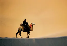 PHOENIX DIE MAGIE DER MONGOLEI, am Mittwoch (01.08.12) um 22:15 Uhr. Die bis zu 400 Meter hohen D&uuml;nen der W&uuml;ste Gobi z&auml;hlen zu den sch&ouml;nsten der Welt.