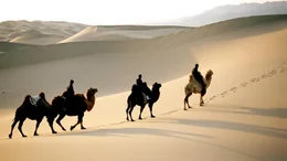 Reiter in der W&uuml;ste Gobi.