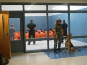 Lockdown blickt hinter die Mauern des Hillsborough County Jail in Florida mit knapp 4000 H&auml;ftlingen und seinem Gef&auml;ngnispersonal, das st&auml;ndigen hinterh&auml;ltigen Angriffen der gef&auml;hrlichen Insassen ausgeliefert ist ...