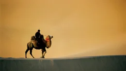 W&uuml;ste Gobi - die h&ouml;chsten D&uuml;nen der Welt.