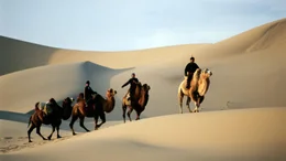 Reiter in der W&uuml;ste Gobi.