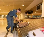 Den Angestellten der Border Security auf dem australischen Kontinent stehen zwar technische Hilfsmittel zur Verfügung, wie zum Beispiel Detektoren und Röntgengeräte, um Gepäck zu durchleuchten und kleinste Partikel von Sprengstoff nachzuweisen, trotzdem ist ein guter Instinkt elementar. Am Flughafen von Melbourne halten sich zahlreiche Einreisenden nämlich nicht an die geltenden Regeln. Verstöße gegen Quarantänebestimmungen, Schmuggel von Bargeld und Drogen oder illegale Einreiseversuche kommen dort recht häufig vor. Um solche Verstöße zu unterbinden, richten die Zöllner ihren geschulten Blick auf alles, was ihnen ungewöhnlich erscheint.