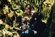 Dian Fossey und zwei junge Gorillas.