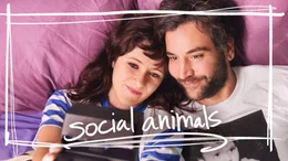 Social Animals - Artwork
