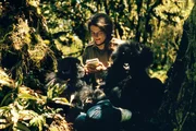 Dian Fossey with Pucker Puss, a captive two-year-old female, and Coco, a 16-month-old male. Fossey nursed both youngsters to health after their capture and imprisonment by local people for sale to the Cologne Zoo.