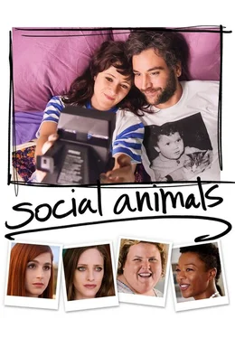 Social Animals - Artwork