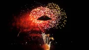 Ehepaar entdeckt Aliens w&auml;hrend eines Feuerwerks in der N&auml;he von Chicago