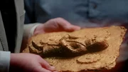 Forscher haben Benin-Bronzen untersucht