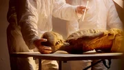 &Ouml;tzi-Mumie
