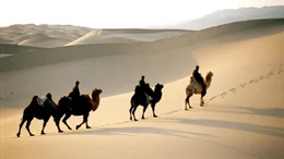 Reiter in der W&uuml;ste Gobi.