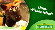 Pferd und Elmo streiten sich über die gerechte Aufteilung ihrer Limo.