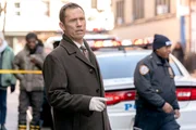LAW & ORDER -- "Fear and Loathing" Episode 22015 -- Pictured: Jeffrey Donovan as Det. Frank Cosgrove