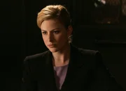 Diane Neal as ADA Casey Novak