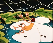 Wilde, laute, kleine Ohrwurmkäfer haben nicht nur negative Seiten, wenn alle zusammen anpacken, dann können sie auch helfen, wie hier dem Schmetterling.