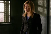 Diane Neal as A.D.A. Casey Novak