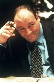 Tony Soprano (James Gandolfini). Tony Soprano (James Gandolfini).