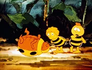 Für den dicken Käfer ist der Weitsprungwettbewerb nicht so glücklich ausgegangen. Er landet auf dem Rücken und auf dem Rücken liegen bedeutet für einen Käfer, hilflos zu sein. Doch Maja und Willi wissen - wie immer - Rat. Für den dicken Käfer ist der Weitsprungwettbewerb nicht so glücklich ausgegangen. Er landet auf dem Rücken und auf dem Rücken liegen bedeutet für einen Käfer, hilflos zu sein. Doch Maja und Willi wissen - wie immer - Rat.