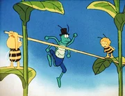 Maja und Willi nehmen den Streit zwischen Flip und dem Floh zum Anlass, einen Hoch- und Weitsprungwettbewerb zu veranstalten. Maja und Willi nehmen den Streit zwischen Flip und dem Floh zum Anlass, einen Hoch- und Weitsprungwettbewerb zu veranstalten.