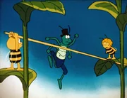 Maja und Willi nehmen den Streit zwischen Flip und dem Floh zum Anlaß, einen Hoch- und Weitsprungwettbewerb zu veranstalten. Maja und Willi nehmen den Streit zwischen Flip und dem Floh zum Anlaß, einen Hoch- und Weitsprungwettbewerb zu veranstalten.