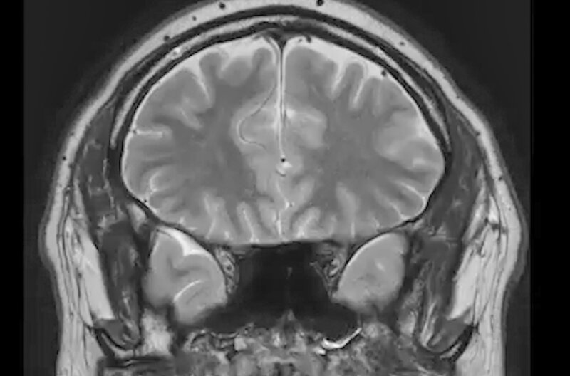 Press Enter to finish the day (F, 2025)