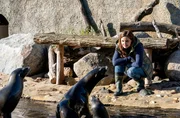 Krawall bei den Seelöwen: Der Leipziger Zoo braucht die Hilfe von der freien Tierärztin Dr. Susanne Mertens (Elisabeth Lanz). Krawall bei den Seelöwen: Der Leipziger Zoo braucht die Hilfe von der freien Tierärztin Dr. Susanne Mertens (Elisabeth Lanz).
