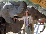 Dicke Freunde: Sandra (Christina Plate) mit einem Elefanten auf der Tierfarm ihres Ehemannes. Dicke Freunde: Sandra (Christina Plate) mit einem Elefanten auf der Tierfarm ihres Ehemannes.