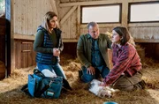 Notfall auf der Alpakafarm von Mike Redmann (Matthias Komm, M.): die freiberufliche Tierärztin Dr. Susanne Mertens (Elisabeth Lanz, l.) kämpft um Leben und Tod des schwer erkrankten Hundes von Mikes Tochter Luca (Eva-Lotta Trojandt, r.). Notfall auf der Alpakafarm von Mike Redmann (Matthias Komm, M.): die freiberufliche Tierärztin Dr. Susanne Mertens (Elisabeth Lanz, l.) kämpft um Leben und Tod des schwer erkrankten Hundes von Mikes Tochter Luca (Eva-Lotta Trojandt, r.).