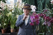 Miss Marple (Julia McKenzie)