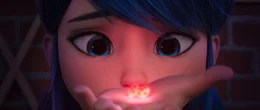 Ladybug