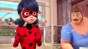 On left: Ladybug