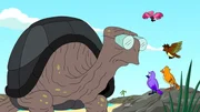 Riesenschildkr&ouml;te Farnsworth verzweifelt, weil seine Gattung vom Aussterben bedroht ist und er kein Weibchen zur Paarung hat ...