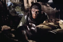 Eines Tages macht sich Caesar (Roddy McDowall) auf, ein Tonband mit einem Interview, das seine Eltern kurz vor ihrem Tod gegeben haben, zu suchen ...