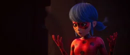Ladybug