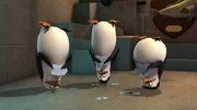 L-R: Skipper, Kowalski, Private