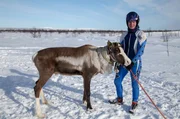 Anne Risten Sara und Rentier Toco sind bereit für das Rentierrennen.