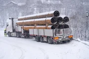 Thord ist auf einer Solo-Mission, um einem 50-Tonnen-Lkw und einem Anhänger zu helfen, die mit riesigen und schweren Rohren gefüllt sind. (National Geographic) Thord ist auf einer Solo-Mission, um einem 50-Tonnen-Lkw und einem Anhänger zu helfen, die mit riesigen und schweren Rohren gefüllt sind. (National Geographic)