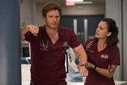 Will Halstead (Nick Gehlfuss), Natalie Manning (Torrey DeVitto)