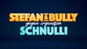 Logo zur Sendung Stefan und Bully gegen irgendson Schnulli