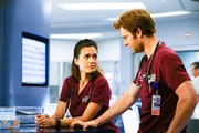 Natalie Manning (Torrey DeVitto), Will Halstead (Nick Gehlfuss)