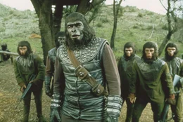 Gorilla-General Aldo (Claude Akins) und seine Schimpansenkrieger machen mal wieder &Auml;rger ...
