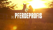 Das Logo zu "Die Pferdeprofis". Das Logo zu "Die Pferdeprofis".